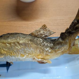 鮎の塩焼き、550円、