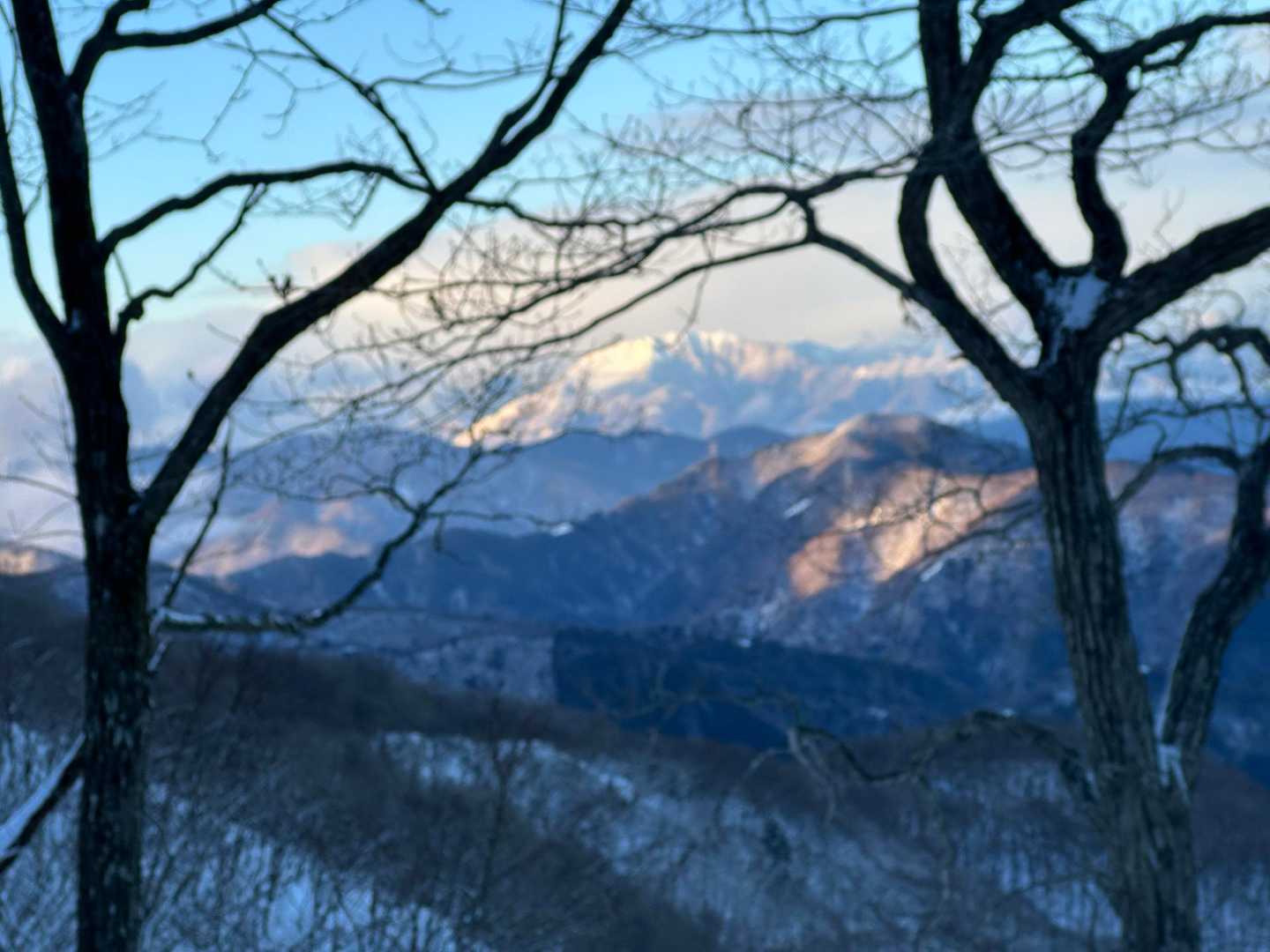 伊吹山⁉️