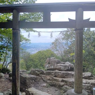 鳥居と祠がありました
ちょっと休憩💨