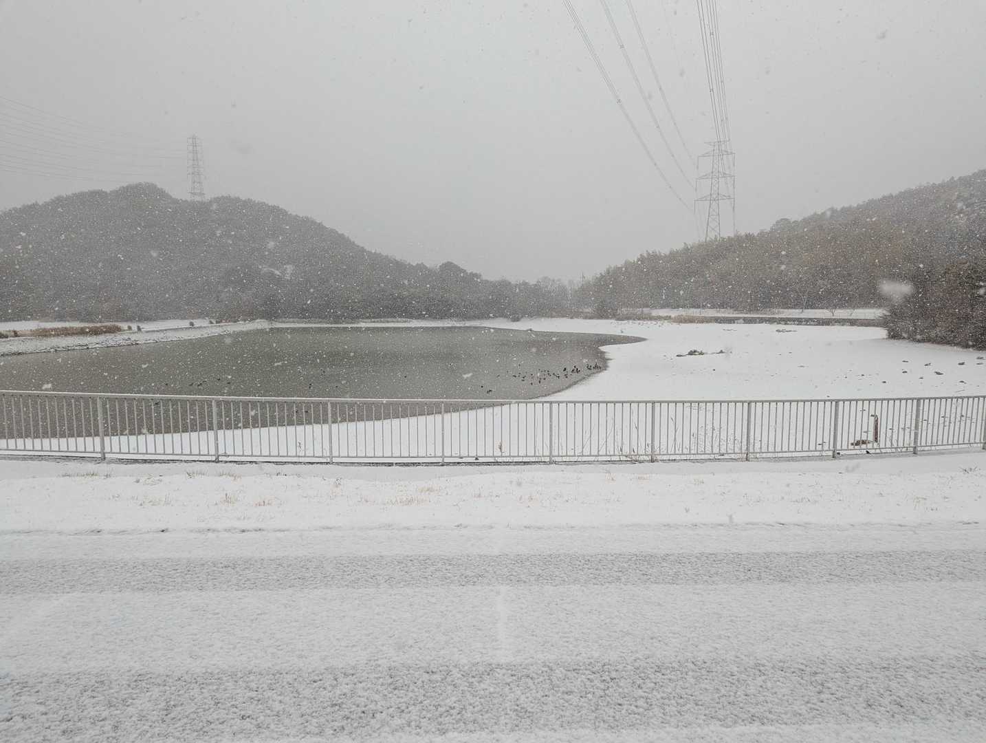 一瞬と言っても良いくらい。真っ白