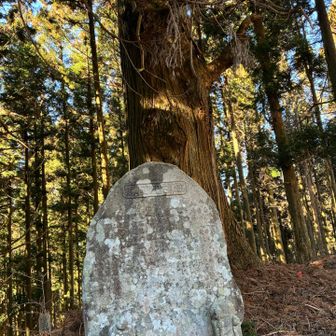 読めません😅が、小馬廃寺の説明がしてあるはず