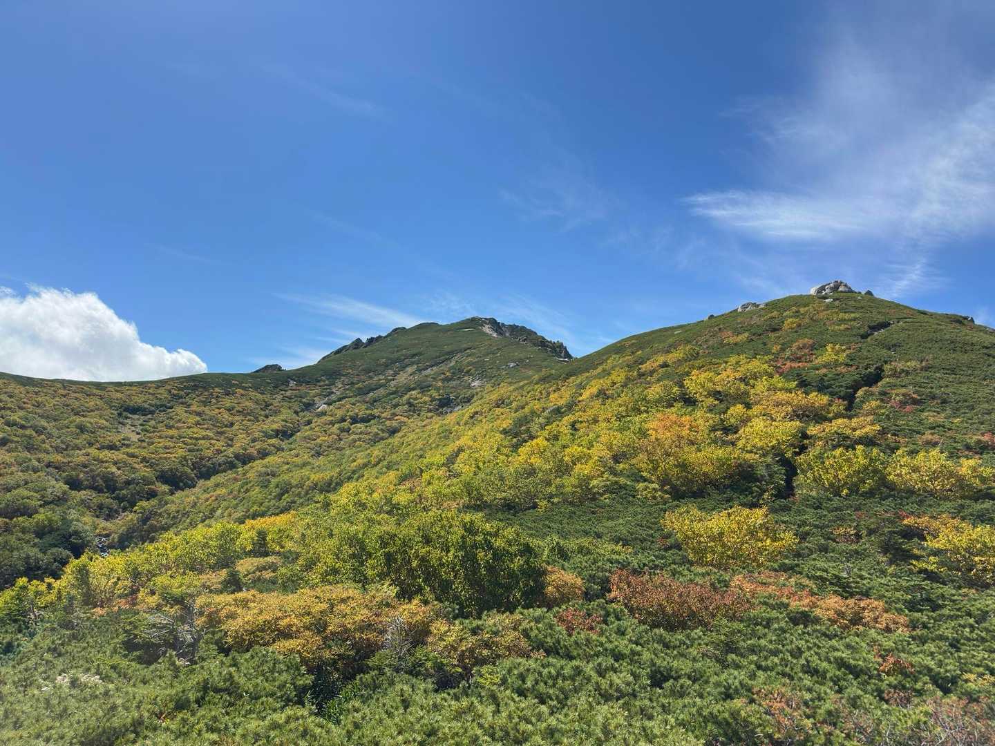 空木岳往復 | 長い樹林帯や峻険な岩場を越えて、巨岩・駒石が鎮座する白亜の稜線への写真
