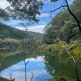 ナントカ湖🤣
釣りしてる人結構いた〜！