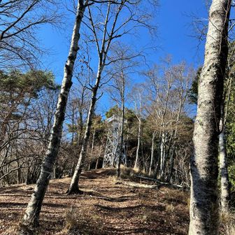 あら、なんか公園感w