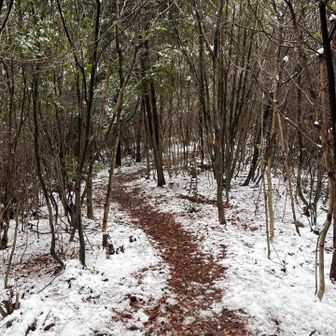 歩きやすい🚶‍♀️