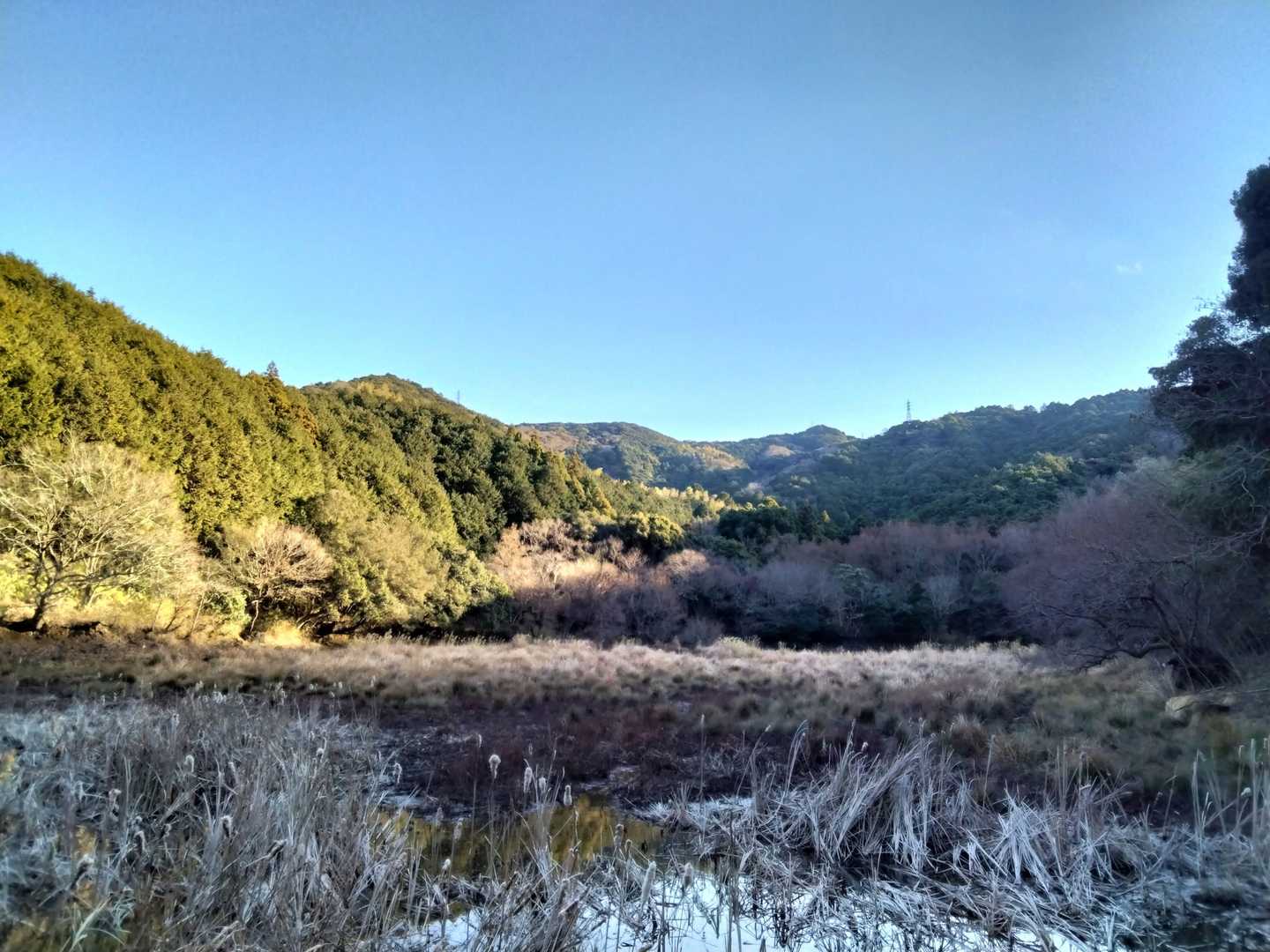 2羽のサギが飛び立ち、これぞ日本の原風景といった趣があった。