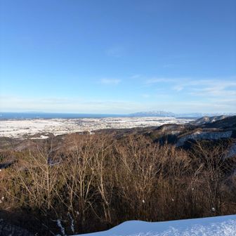 何やら大きい足跡🐾