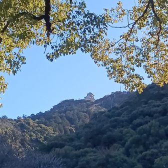 風が冷たい、金華山・岩戸山・瑞龍寺山 / びたぽえ・ミンネさんの金