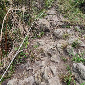 北峰から祠までのロープ場、降る時のスリップのリスクは伊予ヶ岳で1番だと思います。