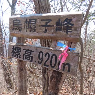 すぐに烏帽子峰
峰というより通りすがりのちょっとしたピークって感じ