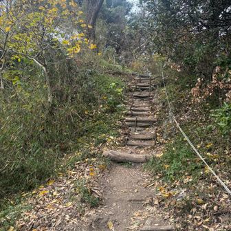 さて、長沢方面へ下山。
急なので、ご注意を！