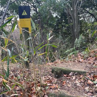 この先かなり道が分かりにくく危険なため、引き返しました