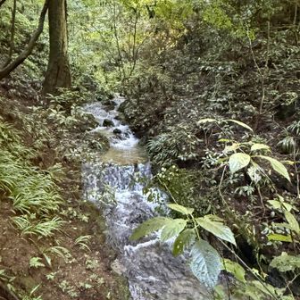 6号路
今日は前回より水量多い。最近雨ばっかりだもんね