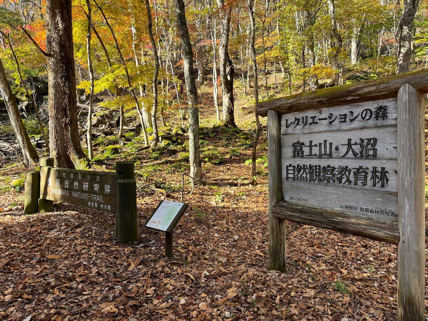 数組の方がいました