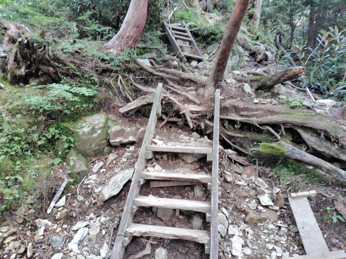 初っ端なからヒーコラ登ります(⁠　⁠･⁠ω⁠･⁠)⁠