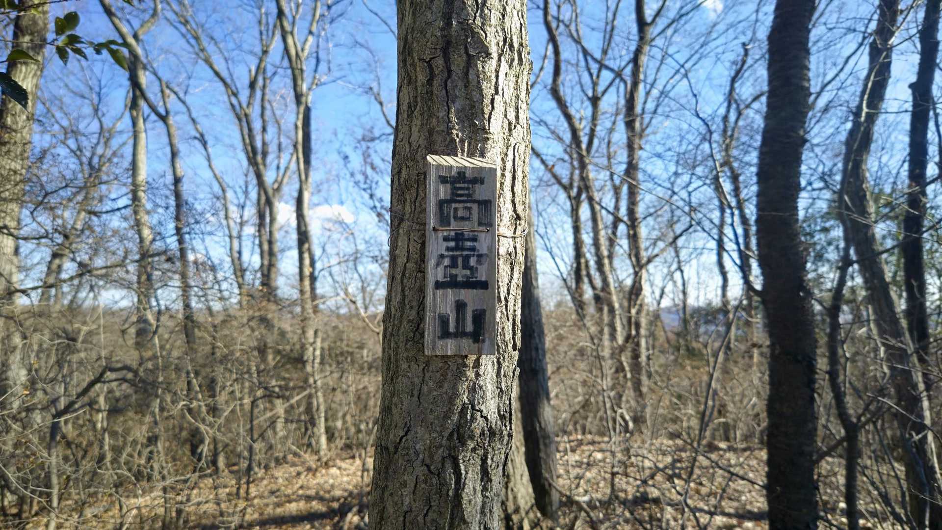 籾山峠-日向山-菅塩峠-高壷山-唐沢山 往復コースの写真