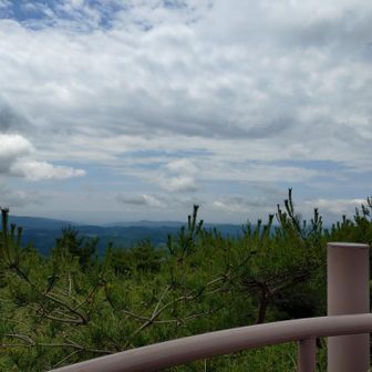 もう夏なので下に木が伸びてきてますね。冬は良い感じかも