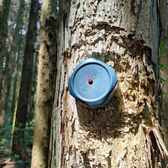 「ネスカフェ（NESCAFÉ）のインスタントコーヒーのプラスチック製フタ（キャップ）」凄い❣正解です。