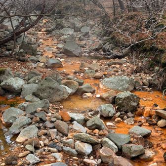 登山口近くの川。赤くなっていて火山の川だなぁという感じ（子どもの頃はよく見た風景）。温泉が混じっているのか少し湯気が出ていました。