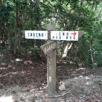 九合目の分岐、三倉岳三角点へ向う