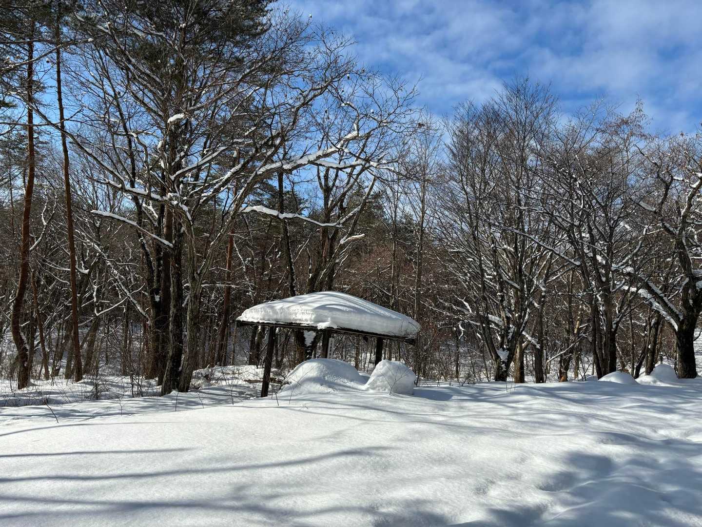 四阿まで到着、結構積もってる
今年は雪多いのかな？