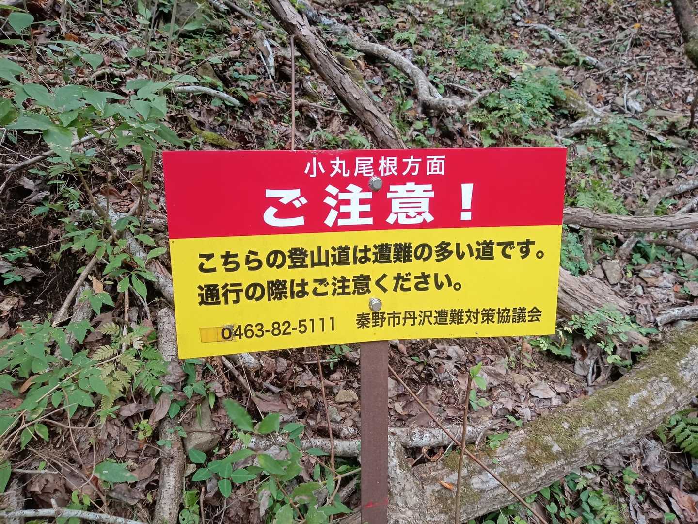 どうりで下山は険しかった。