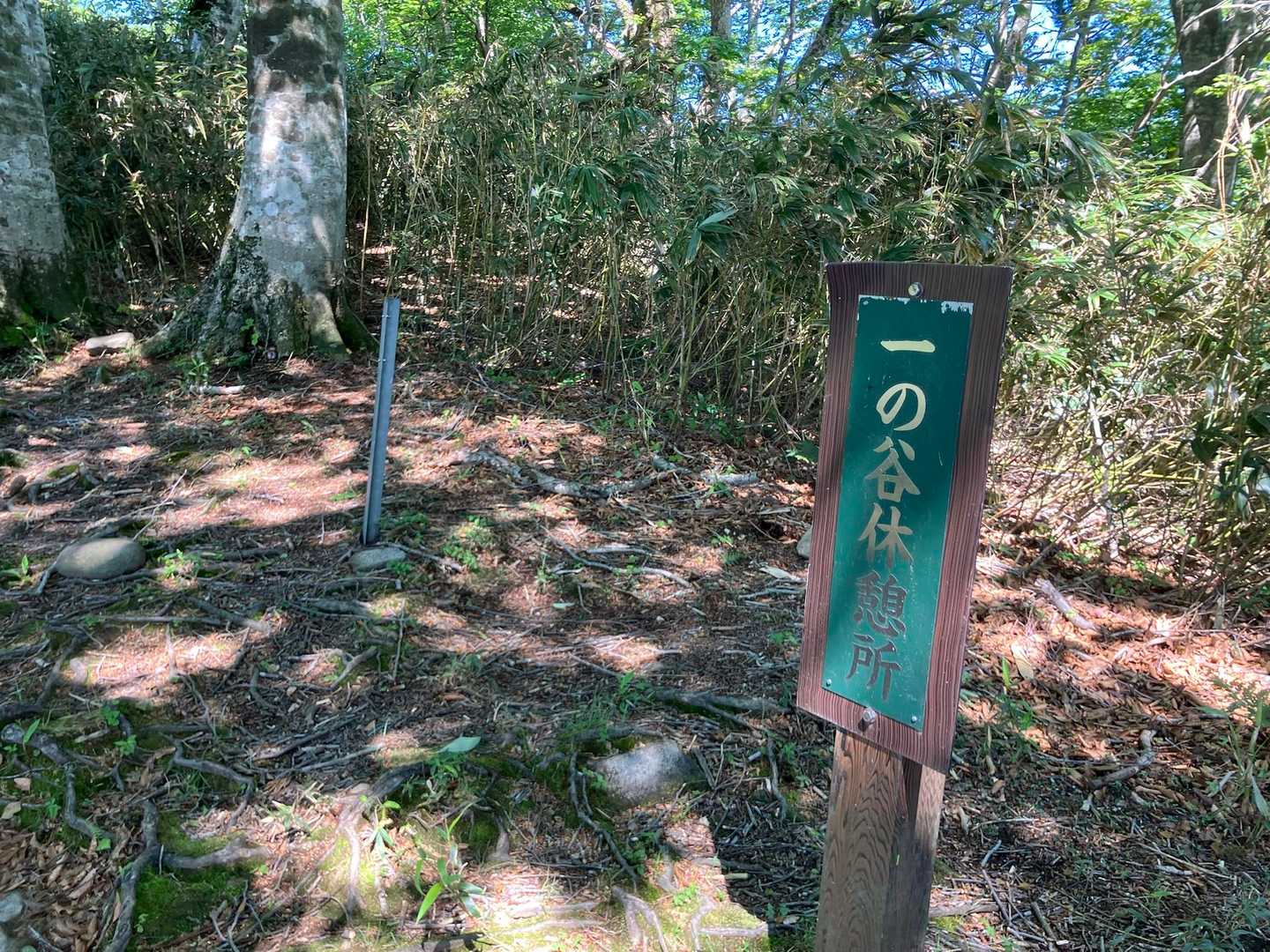 一の谷休憩所。
谷どころか尾根の上だし、休憩所という割にベンチもないただの広場。
でも名前が休憩所なので休憩します😇