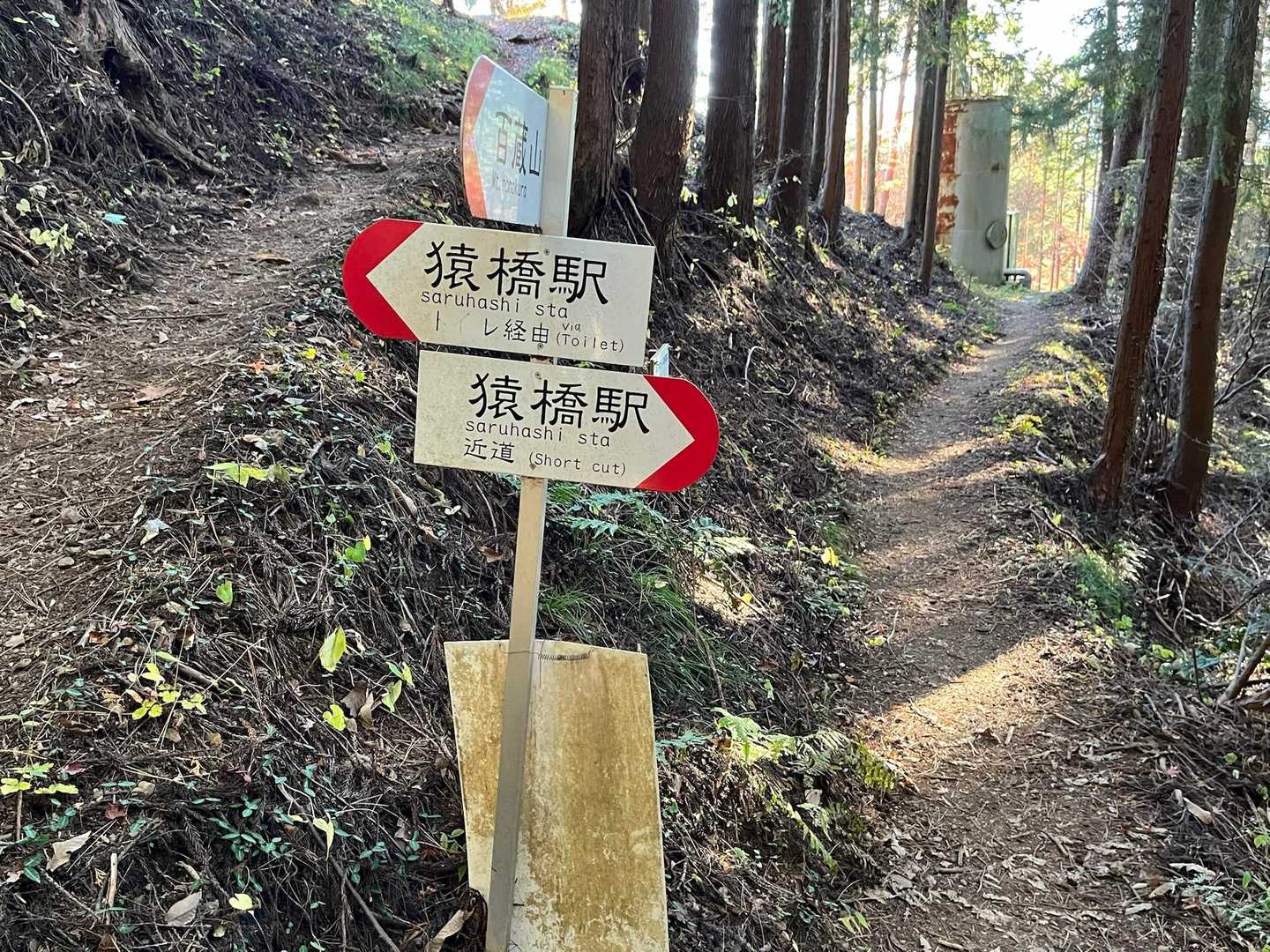 トイレ道に進んだら違った😆