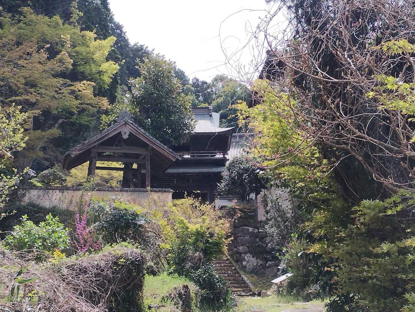 ひっそりたたずむ八幡さま❗

昔は、栄えていたのだろう立派な建物⛩️
