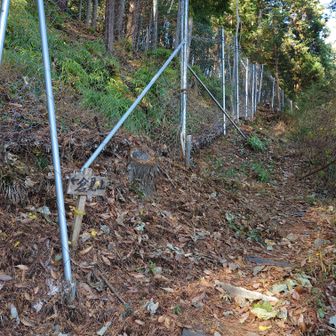 絶妙な角度のため登山道からは扉が見えないので、案内板の意味が理解できません😅
次の支柱（2、3ｍ先）に扉が設置されています。