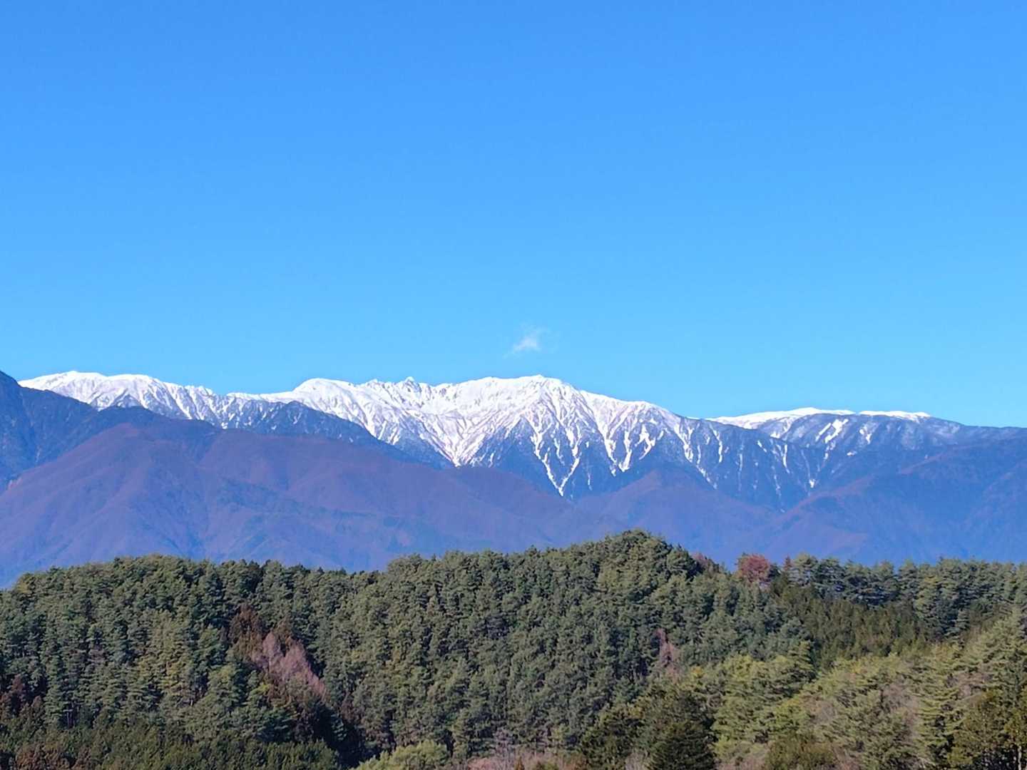 来てよかった