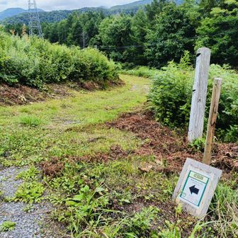 西野発電所との分岐点。