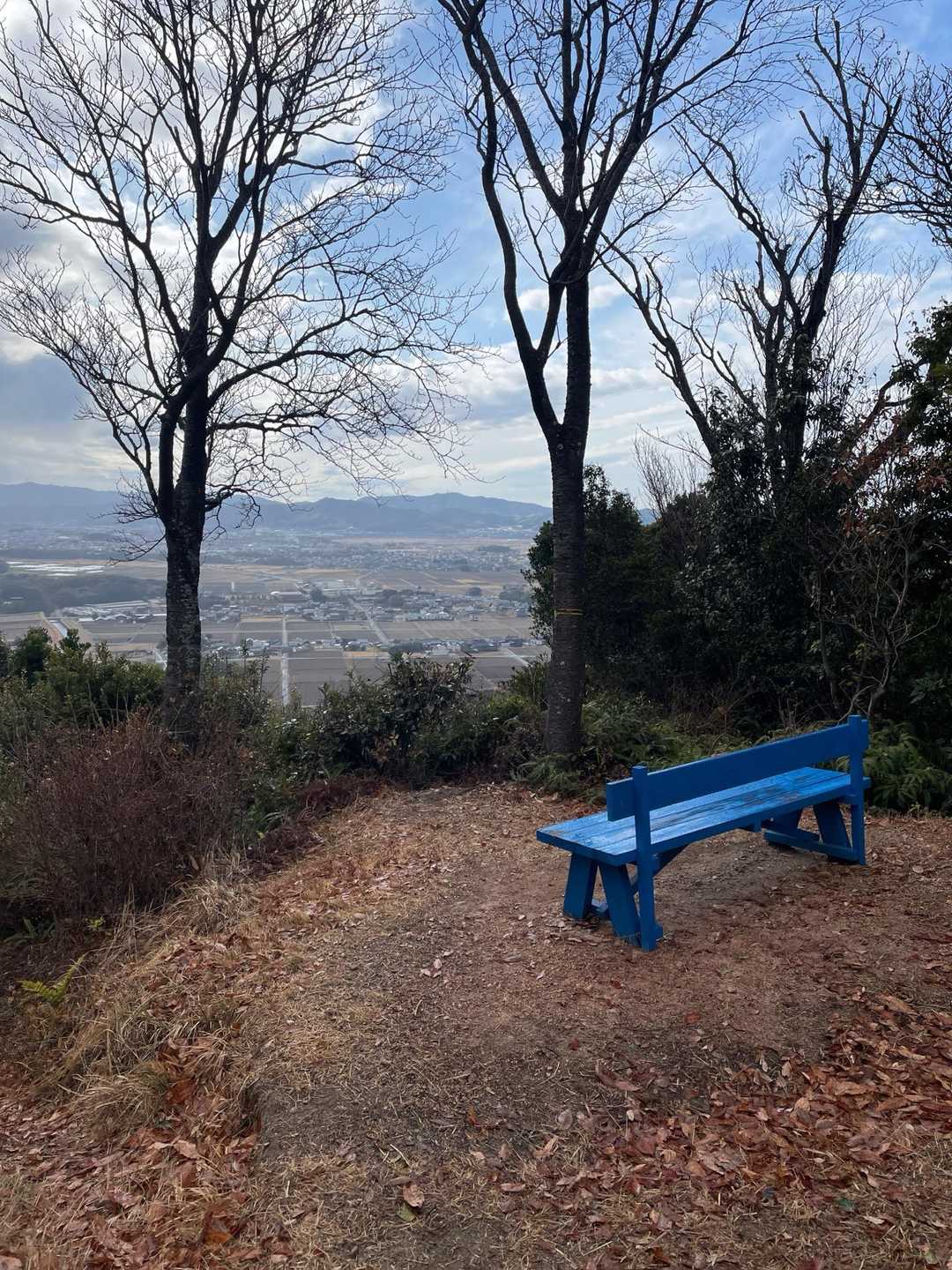 立派なベンチもある！