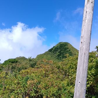 尾根の分かれ道。とりあえずこっちへ（三鈷峰）