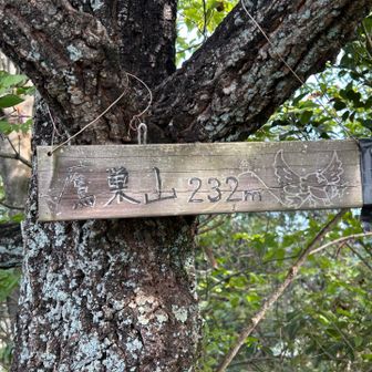 鷹巣山山頂。