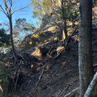 高后山から八郎塚への崖コースは、割と危なめ
少し戻ってバス停へ向かうコースが迂回