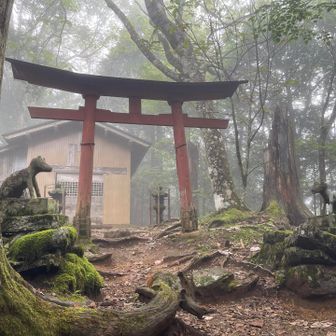 鳥居と御社キタ