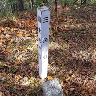 鳶ヶ巣山の三角点。登山道が快適なのはこの辺り迄で、これから鶏ヶ烏帽子迄楽しいヴァリエーション・ルートの始まりです。