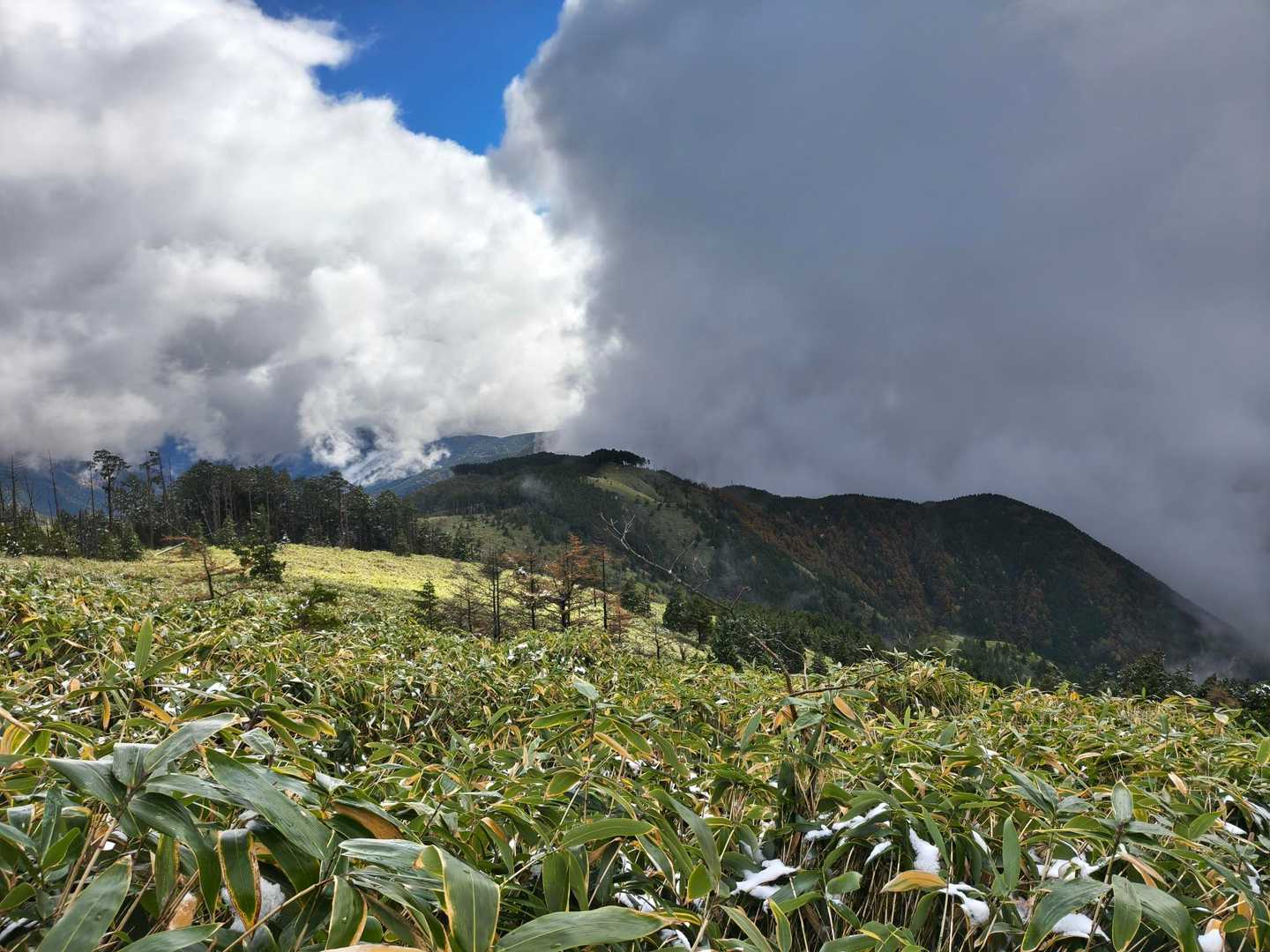 奥三界岳登山口-奥三界岳 往復コースの写真
