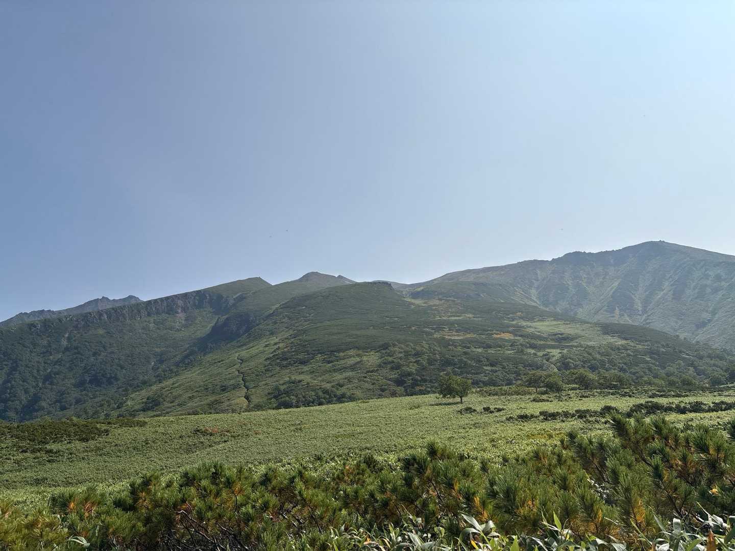愛山渓登山口-沼ノ平-当麻乗越 往復コースの写真