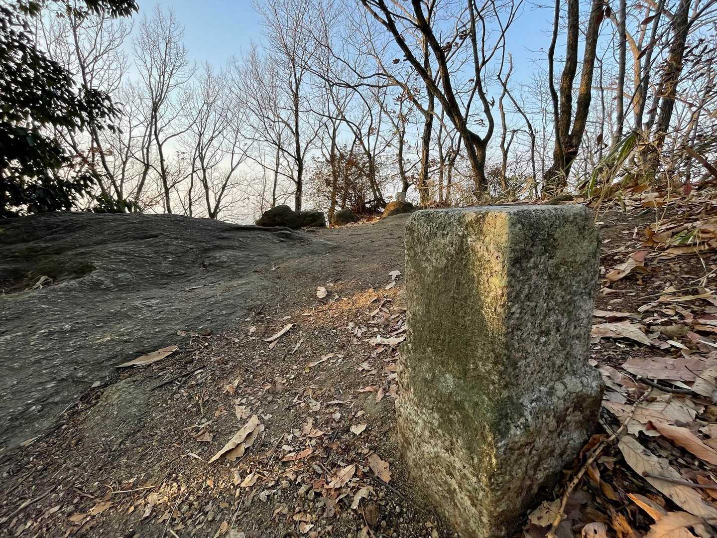 柏原駅-堅下駅-鐸比古鐸比賣神社-高尾山登山口-高尾山-高 縦走コースの写真