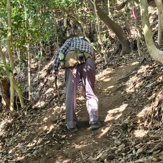 最近平日でも登る方が増えてきてるからと、ノコギリと草取り機を片手に作業しながら上がってこられました✨