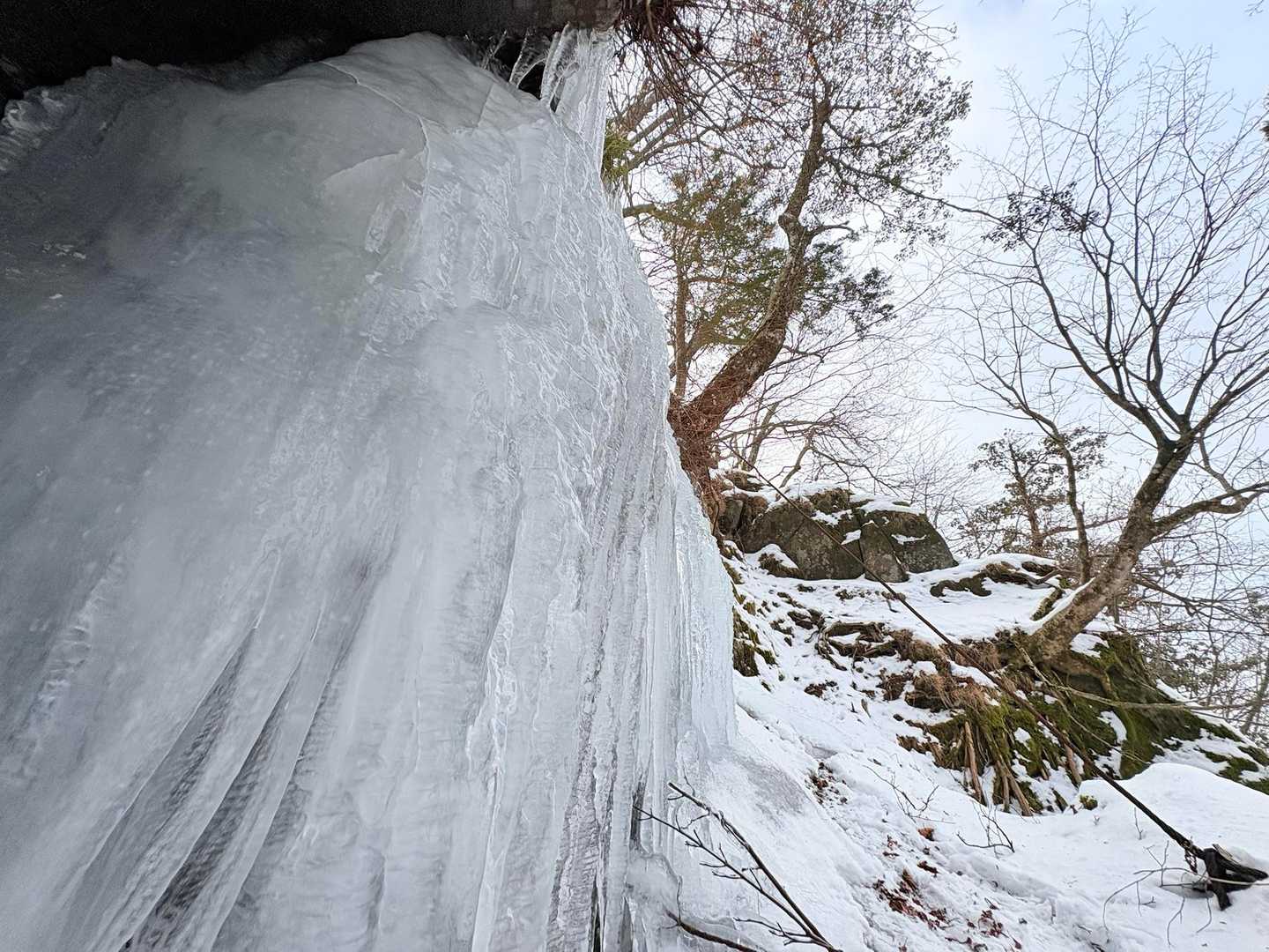 別所登山口-奉幣殿-英彦山 往復コースの写真