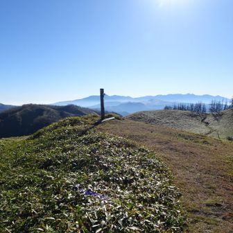 山頂到着