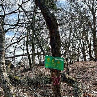 京丈山は次回行きます♪