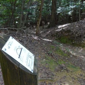 No.61
↑比叡山　　　↓瓜生山