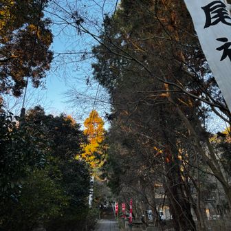 初詣してきました⛩️