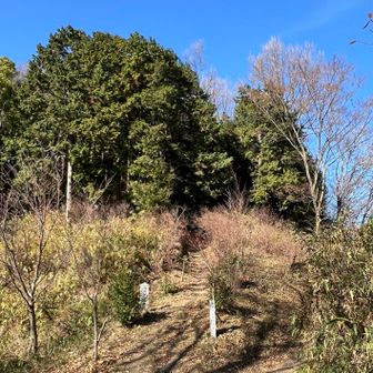 ここから神津嶽に登ります🐾