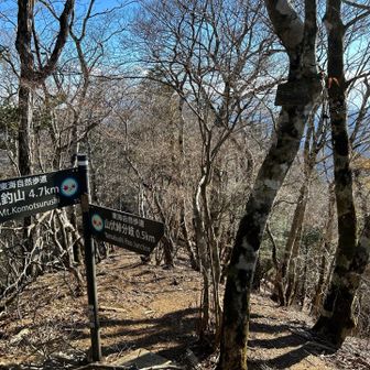 要所小屋ノ頭かな？