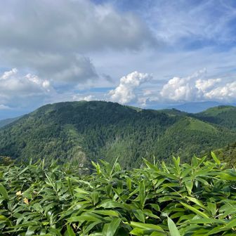 登山口の向こう側の富士見台高原と神坂山
恵那山などとともに「阿智セブン」があるらしい